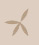 Web Design by Heart Seed Visions