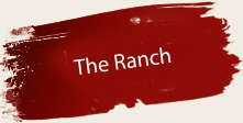 happy heart ranch